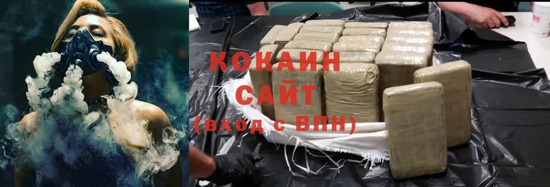 Cocaine Fish Scale  мега как зайти  Ардон  как найти  