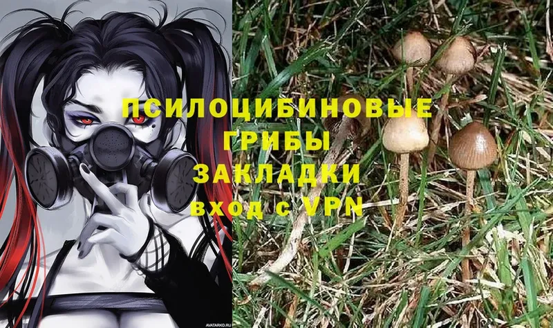 Галлюциногенные грибы MAGIC MUSHROOMS Ардон